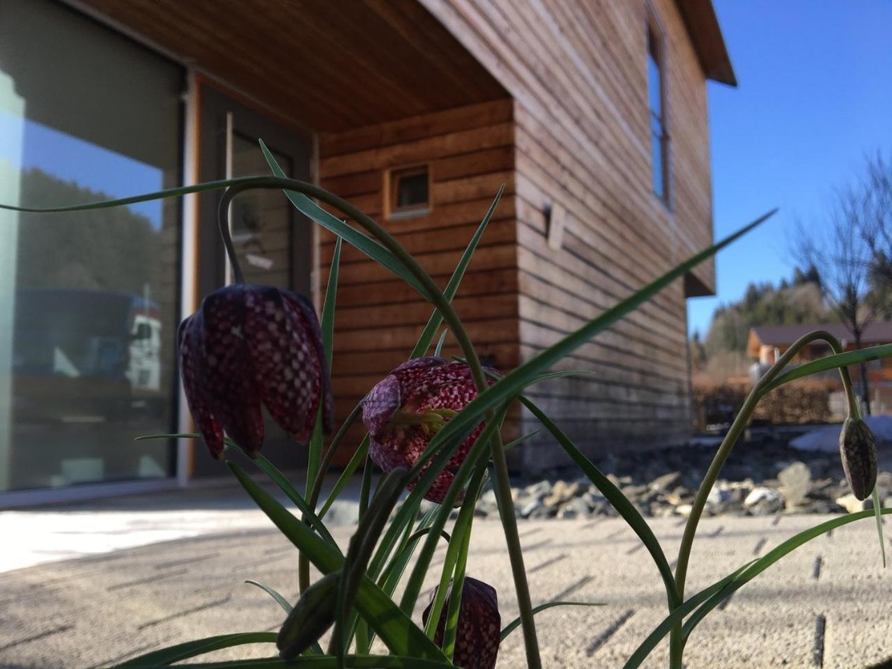 Gaestewohnung Zum Atelier Immenstadt im Allgäu Kültér fotó